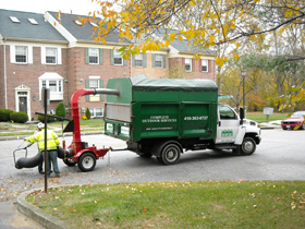 Leaf Removal